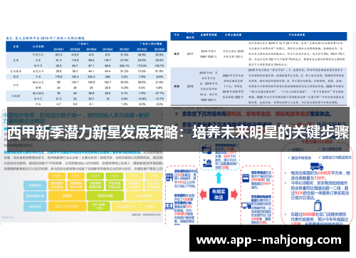 西甲新季潜力新星发展策略:培养未来明星的关键步骤 西甲新季潜力新星发展策略:培养未来明星的关键步骤